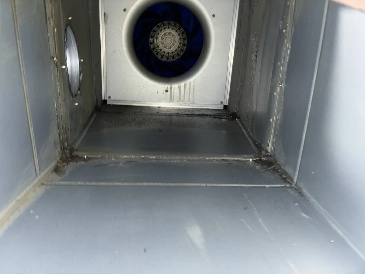 Commercial kitchen extract fan blades after degreasing